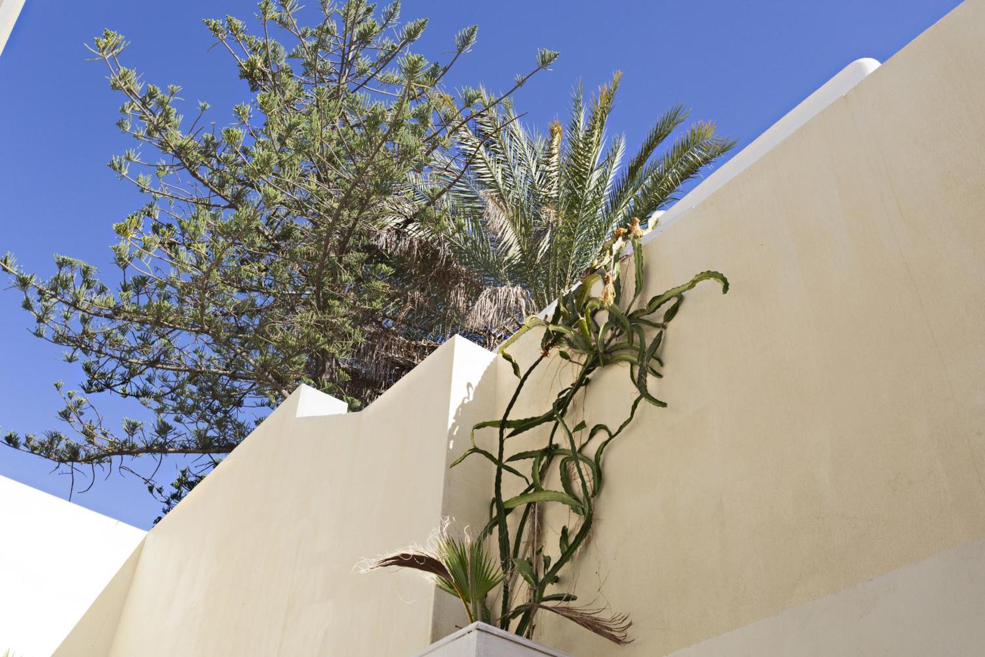 Tavira Historical Center Apartments Extérieur photo